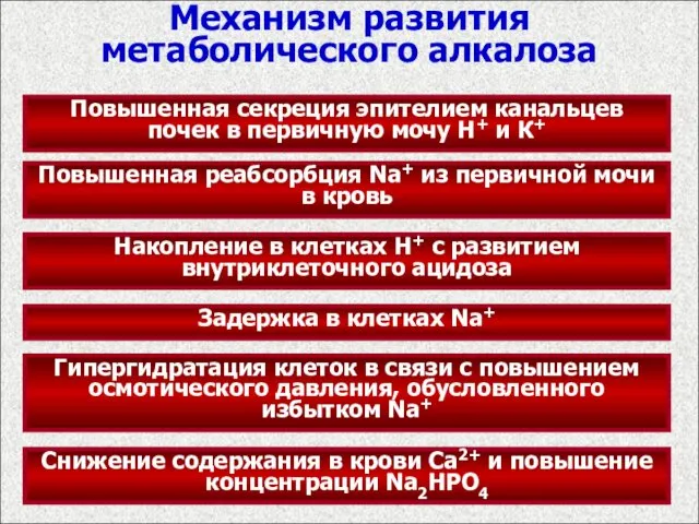 Механизм развития метаболического алкалоза Повышенная секреция эпителием канальцев почек в первичную