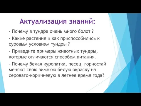 Актуализация знаний: - Почему в тундре очень много болот ? -