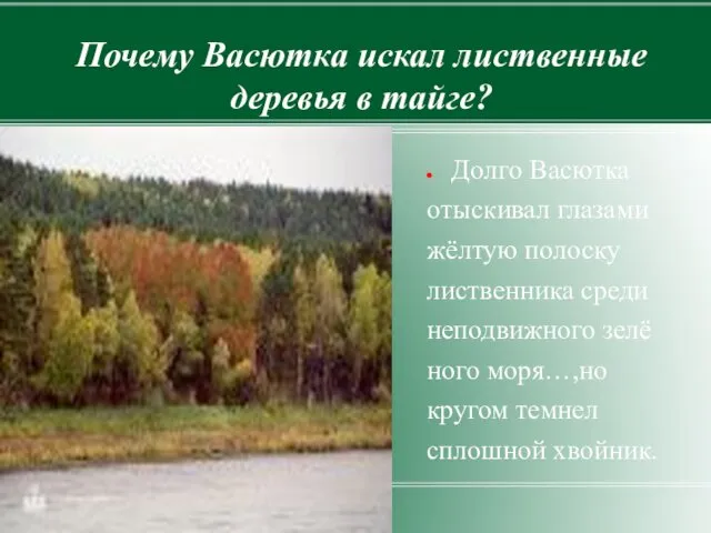 Почему Васютка искал лиственные деревья в тайге? Долго Васютка отыскивал глазами