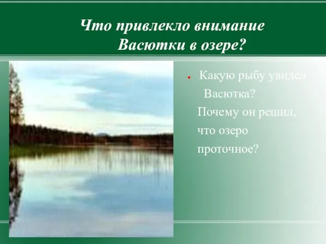 Что привлекло внимание Васютки в озере? Какую рыбу увидел Васютка? Почему он решил, что озеро проточное?