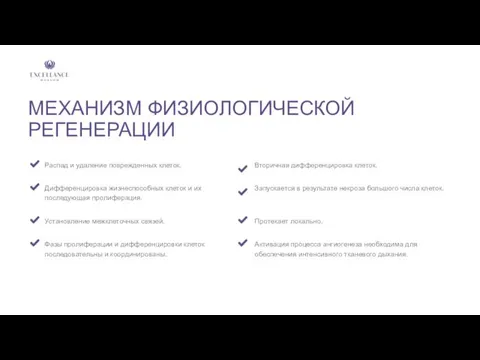 МЕХАНИЗМ ФИЗИОЛОГИЧЕСКОЙ РЕГЕНЕРАЦИИ Распад и удаление поврежденных клеток. Дифференцировка жизнеспособных клеток