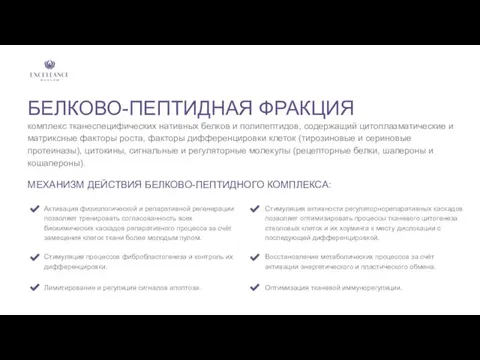 БЕЛКОВО-ПЕПТИДНАЯ ФРАКЦИЯ комплекс тканеспецифических нативных белков и полипептидов, содержащий цитоплазматические и