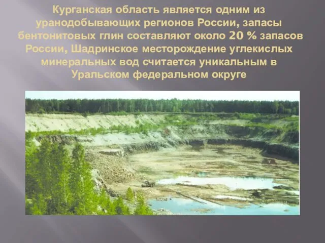 Курганская область является одним из уранодобывающих регионов России, запасы бентонитовых глин