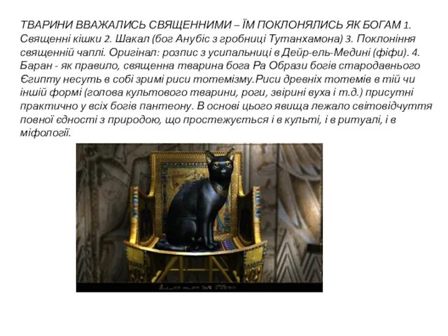 ТВАРИНИ ВВАЖАЛИСЬ СВЯЩЕННИМИ – ЇМ ПОКЛОНЯЛИСЬ ЯК БОГАМ 1. Священні кішки