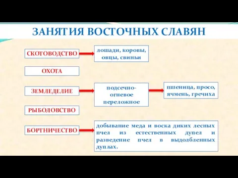 ЗАНЯТИЯ ВОСТОЧНЫХ СЛАВЯН СКОТОВОДСТВО ЗЕМЛЕДЕЛИЕ РЫБОЛОВСТВО ОХОТА БОРТНИЧЕСТВО лошади, коровы, овцы,