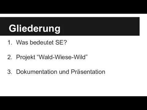 Gliederung Was bedeutet SE? Projekt “Wald-Wiese-Wild” Dokumentation und Präsentation