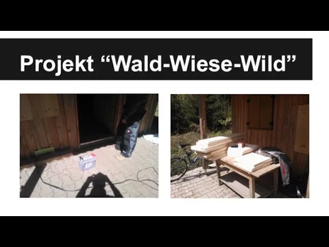 Projekt “Wald-Wiese-Wild”