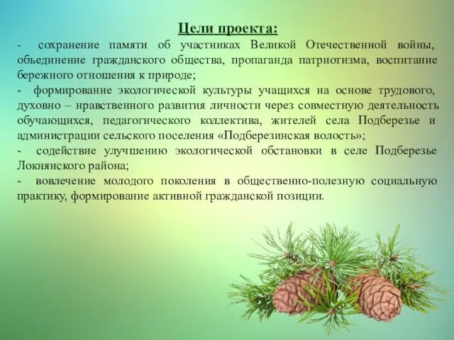 Цели проекта: - сохранение памяти об участниках Великой Отечественной войны, объединение