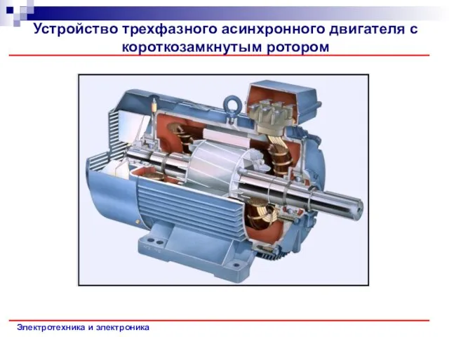 Электротехника и электроника Устройство трехфазного асинхронного двигателя с короткозамкнутым ротором
