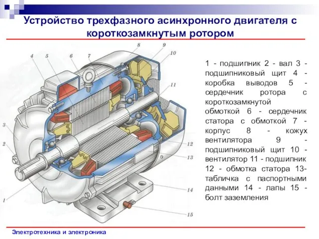 Электротехника и электроника Устройство трехфазного асинхронного двигателя с короткозамкнутым ротором 1