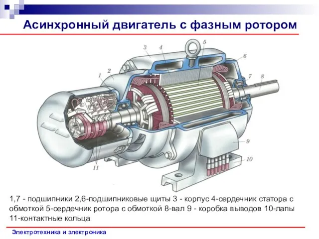 Электротехника и электроника Асинхронный двигатель с фазным ротором 1,7 - подшипники