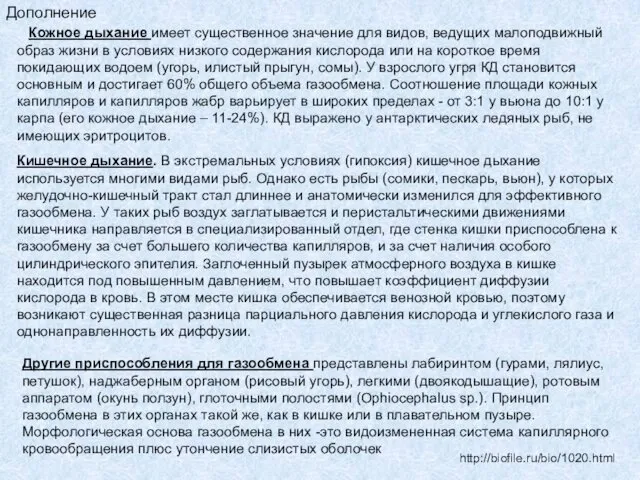 Кожное дыхание имеет существенное значение для видов, ведущих малоподвижный образ жизни