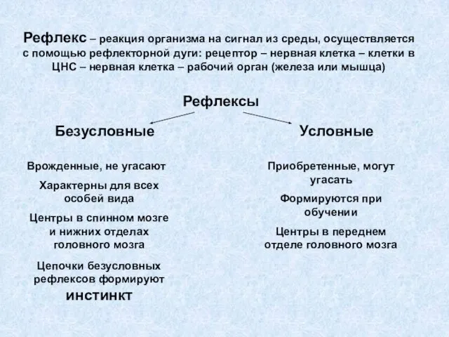 Рефлекс – реакция организма на сигнал из среды, осуществляется с помощью