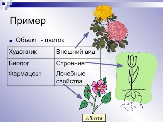 Пример Объект - цветок