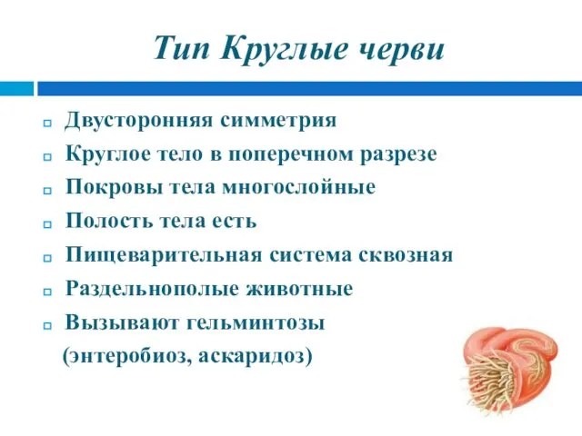 Тип Круглые черви Двусторонняя симметрия Круглое тело в поперечном разрезе Покровы