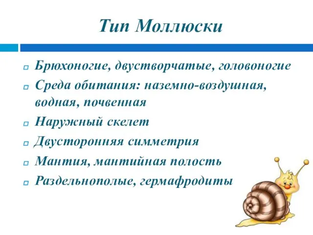 Тип Моллюски Брюхоногие, двустворчатые, головоногие Среда обитания: наземно-воздушная, водная, почвенная Наружный