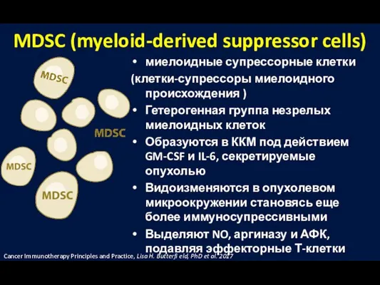 MDSC (myeloid-derived suppressor cells) миелоидные супрессорные клетки (клетки-супрессоры миелоидного происхождения )