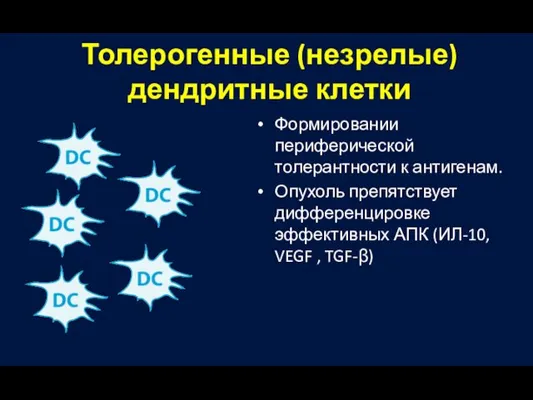 Толерогенные (незрелые) дендритные клетки Формировании периферической толерантности к антигенам. Опухоль препятствует