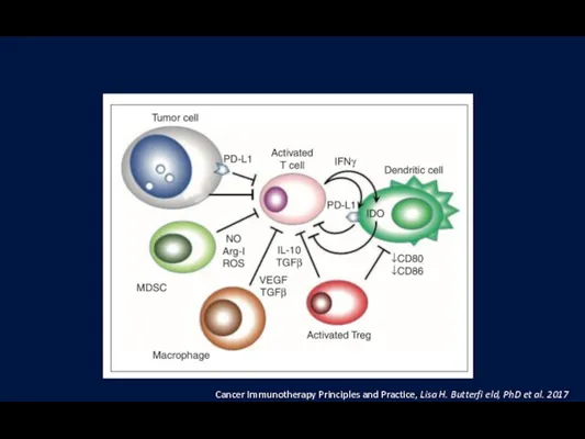 Cancer Immunotherapy Principles and Practice, Lisa H. Butterfi eld, PhD et al. 2017