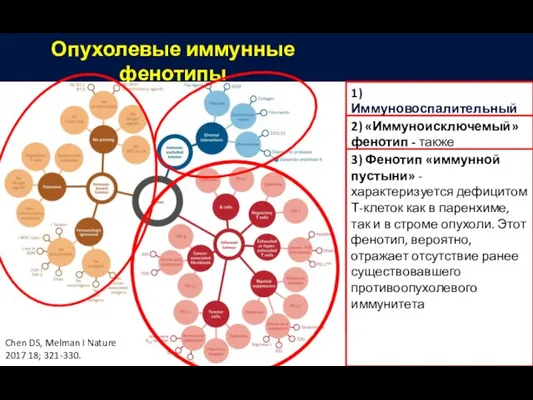 Опухолевые иммунные фенотипы 1)Иммуновоспалительный фенотип характеризуется наличием в паренхиме опухолей CD4+