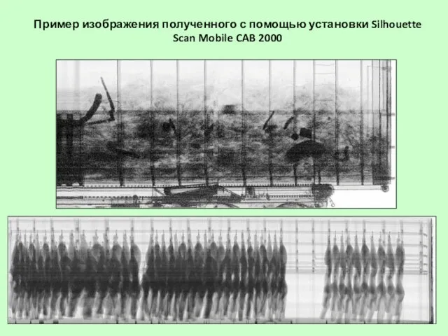 Пример изображения полученного с помощью установки Silhouette Scan Mobile CAB 2000