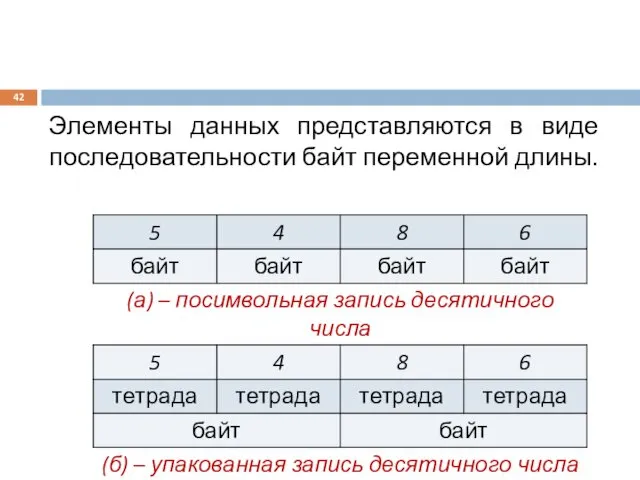 Элементы данных представляются в виде последовательности байт переменной длины.