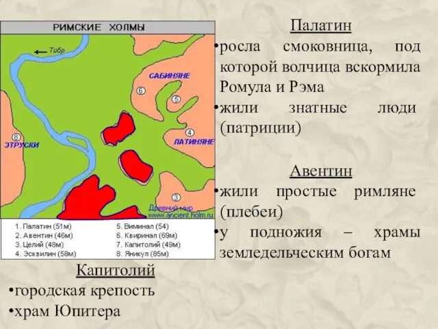 Палатин росла смоковница, под которой волчица вскормила Ромула и Рэма жили