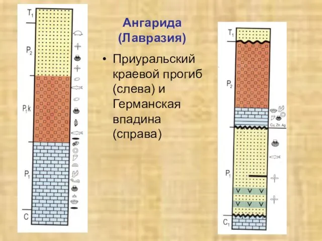 Ангарида (Лавразия) Приуральский краевой прогиб (слева) и Германская впадина (справа)