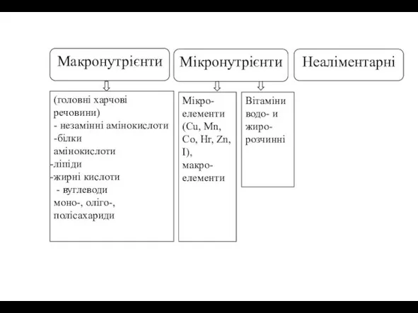 Макронутрієнти Неаліментарні (головні харчові речовини) - незамінні амінокислоти -білки амінокислоти ліпіди