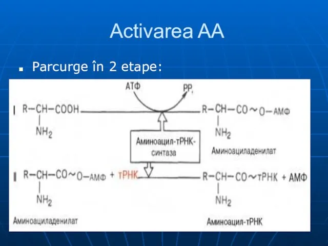 Activarea AA Parcurge în 2 etape: