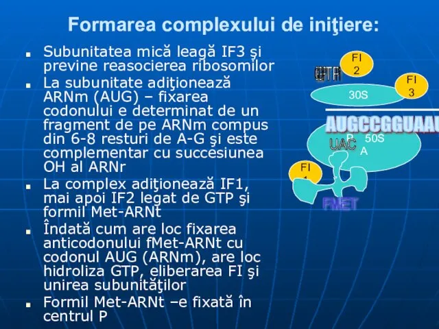 Formarea complexului de iniţiere: Subunitatea mică leagă IF3 şi previne reasocierea