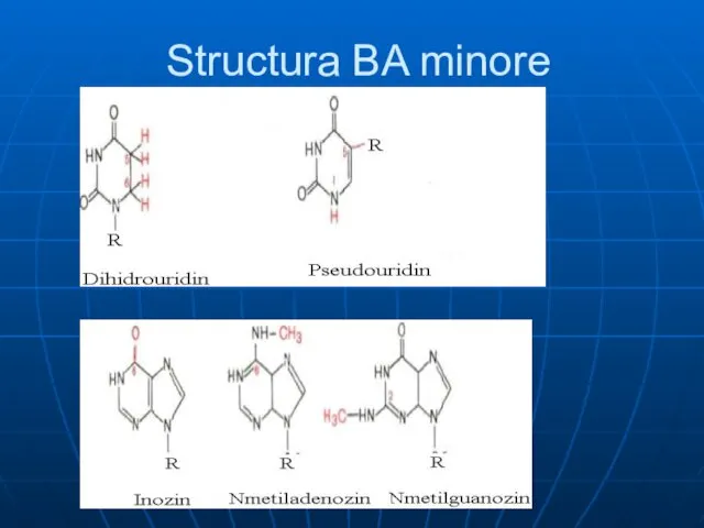 Structura BA minore