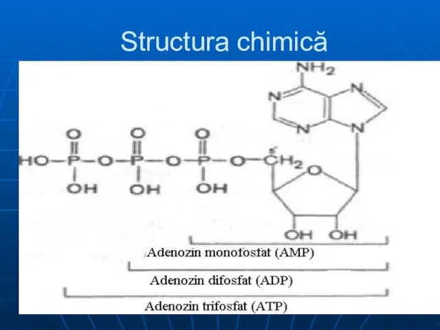 Structura chimică