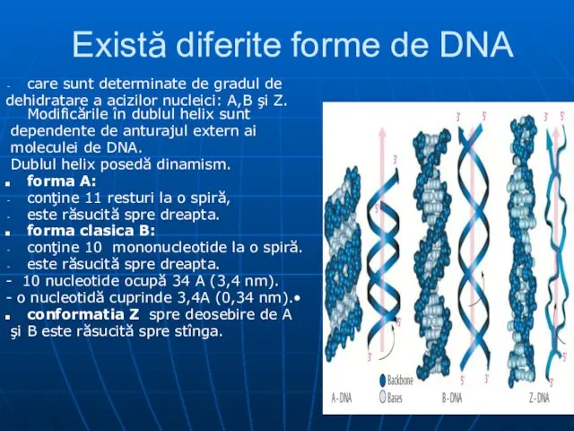 Există diferite forme de DNA care sunt determinate de gradul de