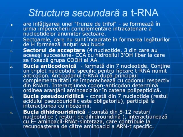 Structura secundară a t-RNA are infăţişarea unei "frunze de trifoi" -