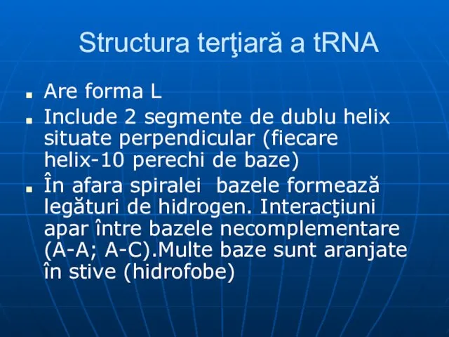 Structura terţiară a tRNA Are forma L Include 2 segmente de