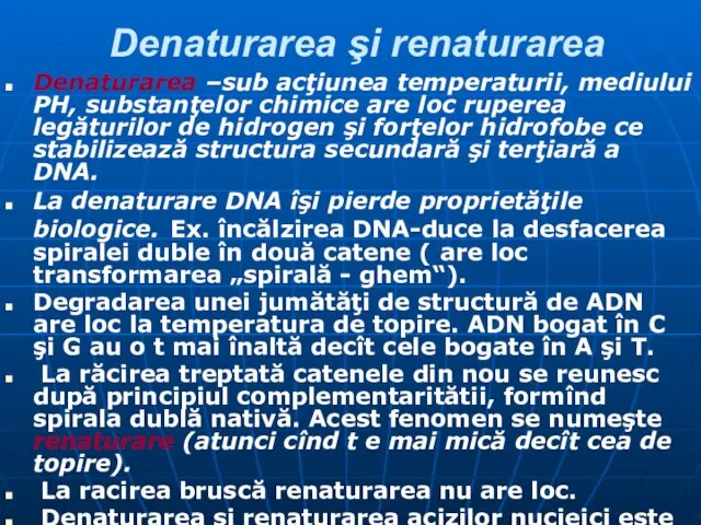 Denaturarea şi renaturarea Denaturarea –sub acţiunea temperaturii, mediului PH, substanţelor chimice