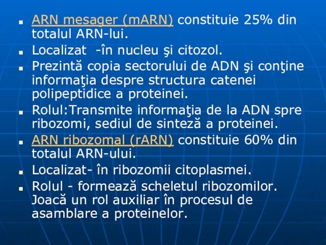 ARN mesager (mARN) constituie 25% din totalul ARN-lui. Localizat -în nucleu