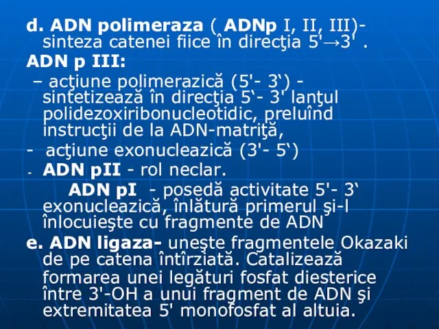 d. ADN polimeraza ( ADNp I, II, III)- sinteza catenei fiice