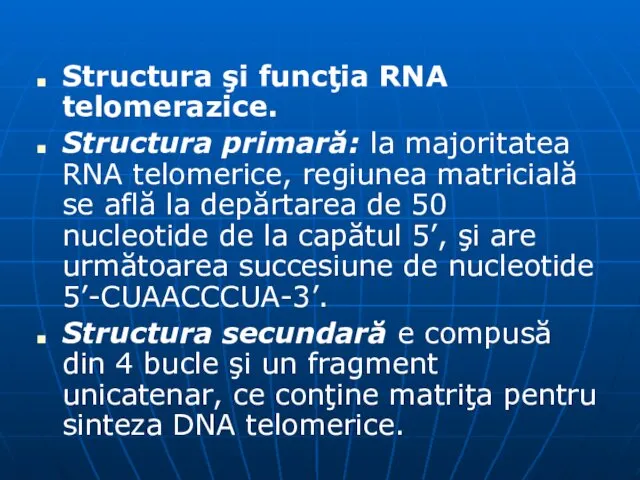 Structura şi funcţia RNA telomerazice. Structura primară: la majoritatea RNA telomerice,