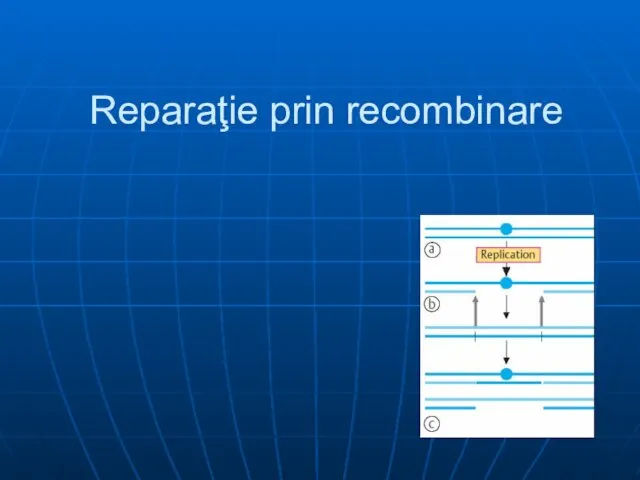 Reparaţie prin recombinare