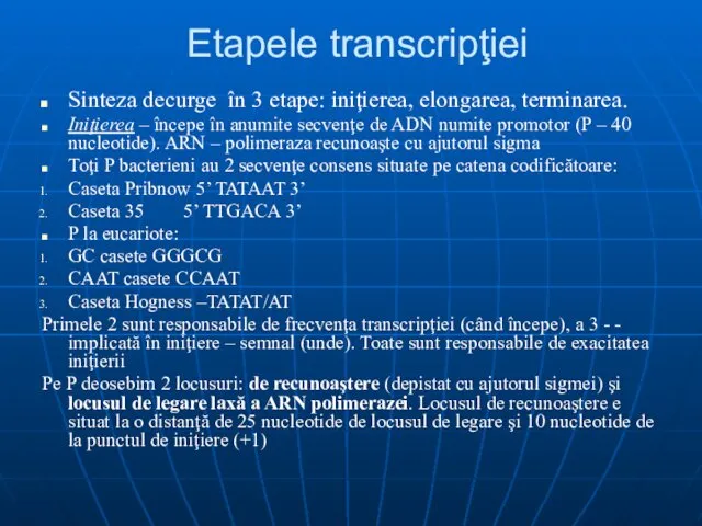 Etapele transcripţiei Sinteza decurge în 3 etape: iniţierea, elongarea, terminarea. Iniţierea