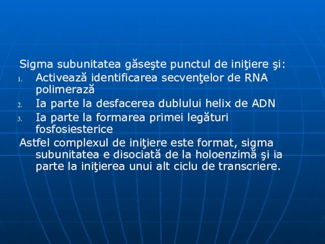 Sigma subunitatea găseşte punctul de iniţiere şi: Activează identificarea secvenţelor de