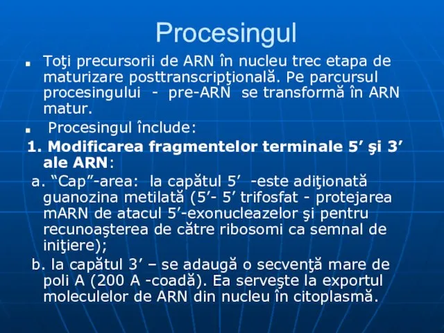 Procesingul Toţi precursorii de ARN în nucleu trec etapa de maturizare