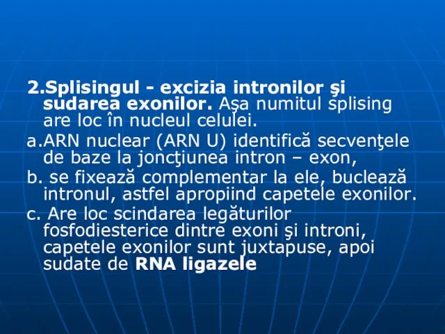 2.Splisingul - excizia intronilor şi sudarea exonilor. Aşa numitul splising are