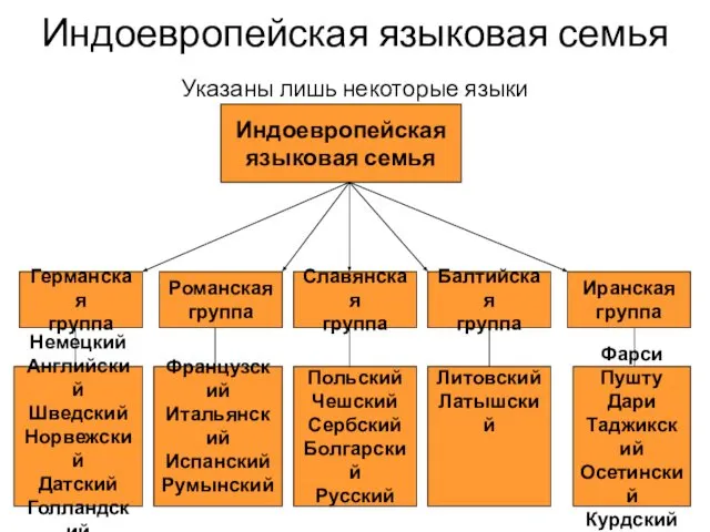 Индоевропейская языковая семья Указаны лишь некоторые языки Индоевропейская языковая семья Германская