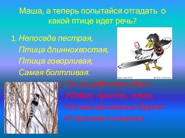 Маша, а теперь попытайся отгадать о какой птице идет речь? 1.