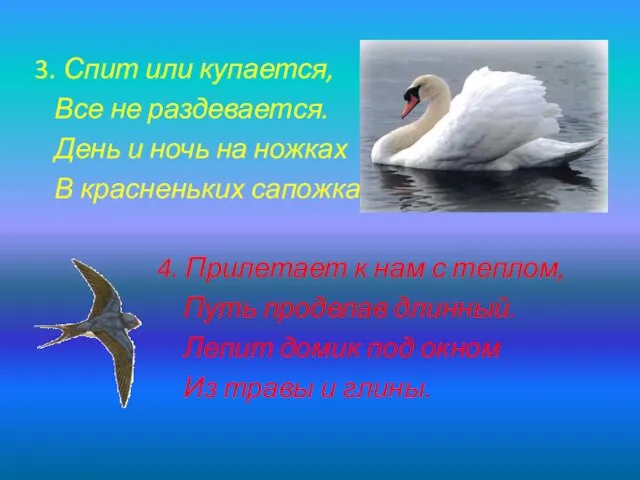 3. Спит или купается, Все не раздевается. День и ночь на