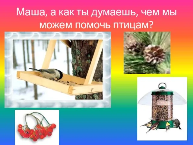 Маша, а как ты думаешь, чем мы можем помочь птицам?