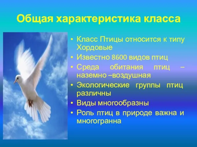 Общая характеристика класса Класс Птицы относится к типу Хордовые Известно 8600